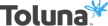 Logo for Toluna Paid Survey Site
